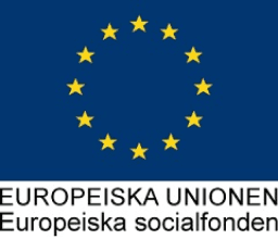 European Union European Social Fund